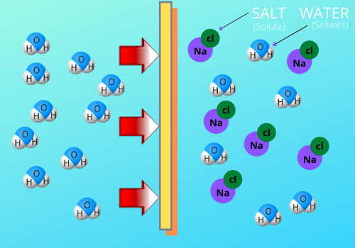 En illustration av hur salt drar fukt från maten